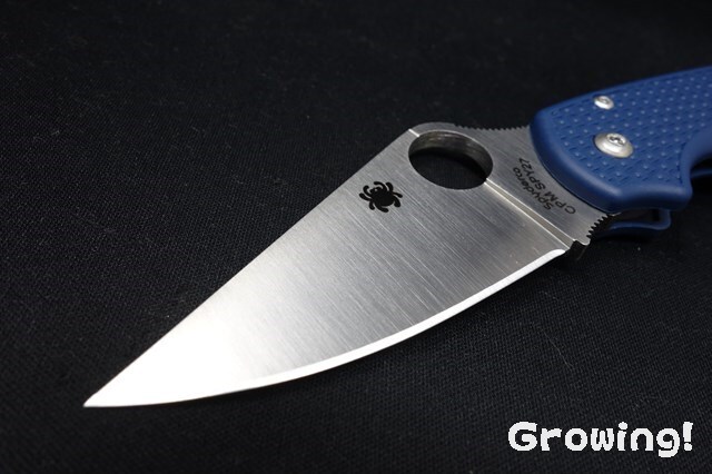 ナイフショップ グローイング！□Spyderco【スパイダルコ