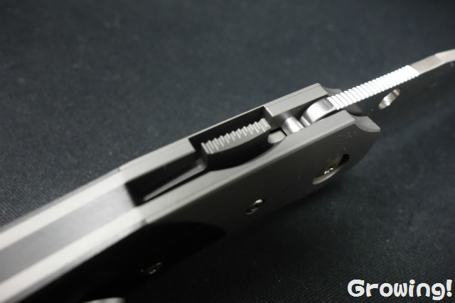 ナイフショップ グローイング！□Spyderco【スパイダルコ
