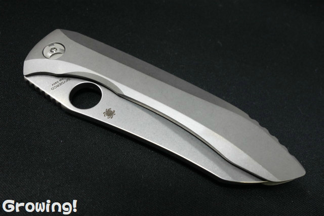 SP-C238TIP-3.jpg