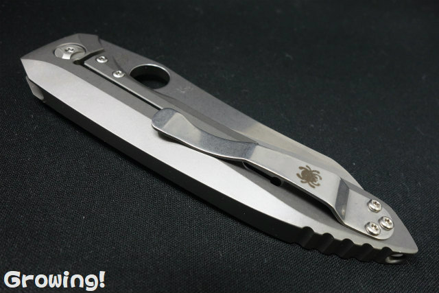 SP-C238TIP-4.jpg