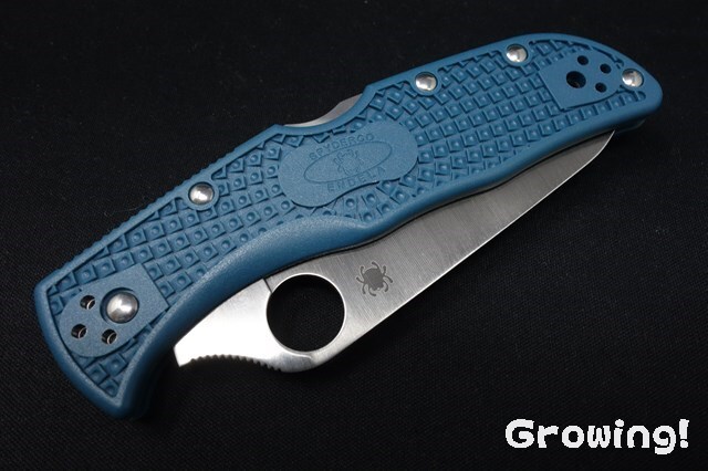 ナイフショップ グローイング！□Spyderco【スパイダルコ