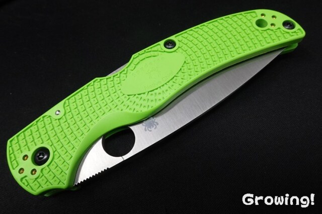 ナチコ ナイフショップ グローイング！□Spyderco【スパイダルコ