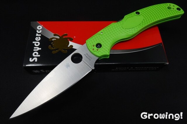 ナチコ ナイフショップ グローイング！□Spyderco【スパイダルコ