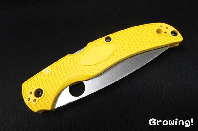ナイフショップ グローイング！□Spyderco【スパイダルコ
