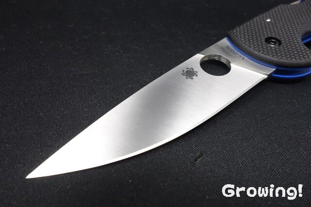 600本限定 廃盤 希少 C92P スパイダルコ コパ SPYDERCO 600本限定 廃盤 希少 C92P スパイダルコ コパ SPYDERCOの通販 by