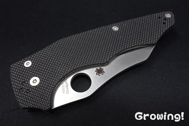 ナイフショップ グローイング！□Spyderco【スパイダルコ