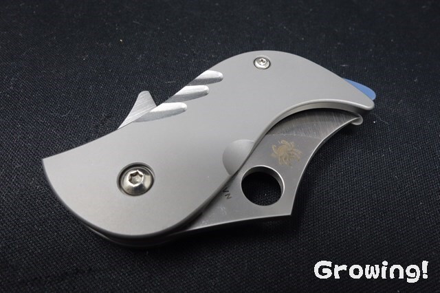 ナイフショップ グローイング！□Spyderco【スパイダルコ】□ ポチ