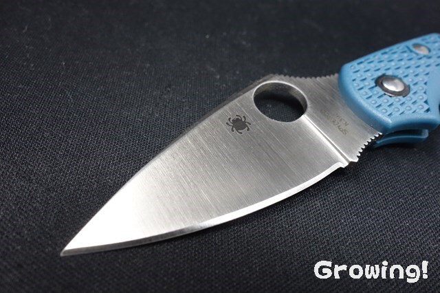 Spyderco - 【Spyderco】スパイダルコ　ドラゴンフライ2 新品未使用 ナイフショップ グローイング！□Spyderco【スパイダルコ