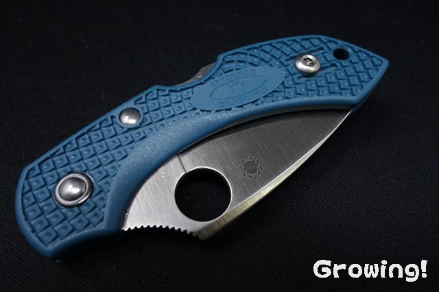 ナイフショップ グローイング！□Spyderco【スパイダルコ