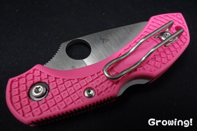 ナイフショップ グローイング！□Spyderco【スパイダルコ】□ ドラゴン