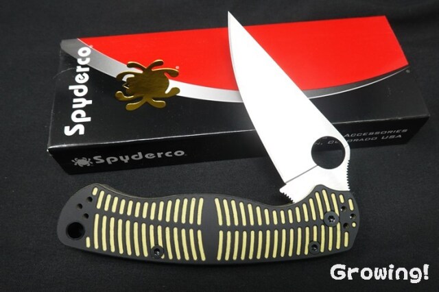ナイフショップ グローイング！□Spyderco【スパイダルコ】□ パラ