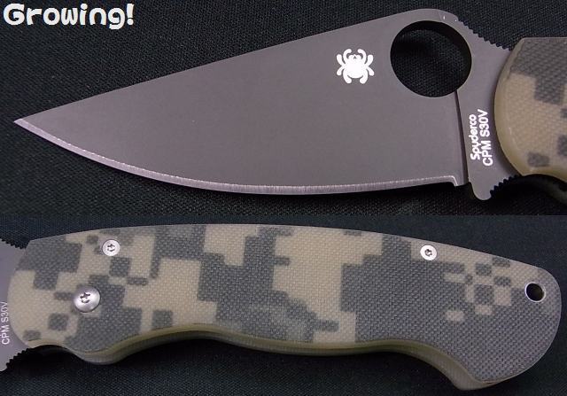 ナイフショップ グローイング！□Spyderco【スパイダルコ】□ パラ  