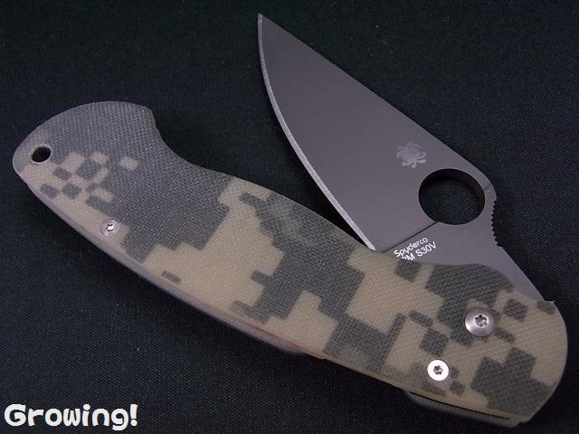 ナイフショップ グローイング！□Spyderco【スパイダルコ】□ パラ  