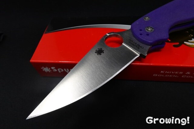 SPYDERCO 折りたたみナイフ C81GPCMO2 パラミリタリー2