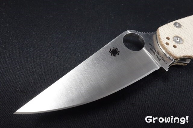 ナイフショップ グローイング！□Spyderco【スパイダルコ】□ パラ  
