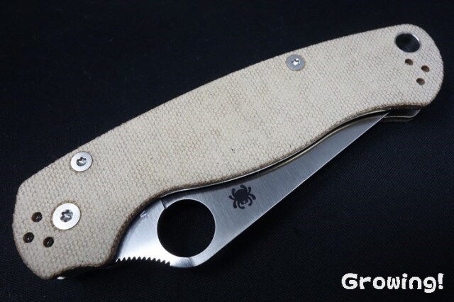ナイフショップ グローイング！□Spyderco【スパイダルコ】□ パラ  