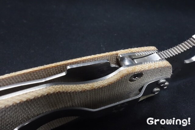 ナイフショップ グローイング！□Spyderco【スパイダルコ】□ パラ  