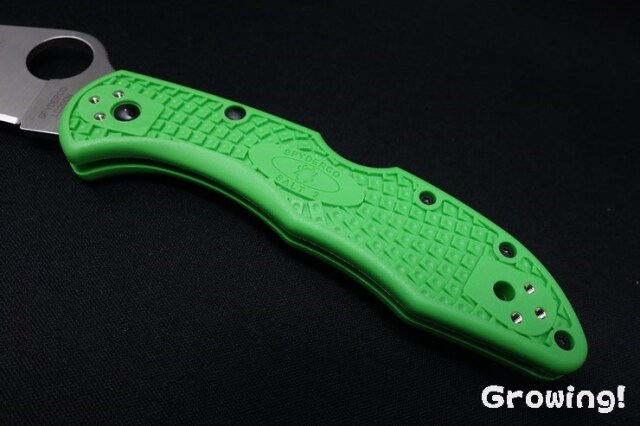 ナイフショップ グローイング！□Spyderco【スパイダルコ】□ ソルト2  