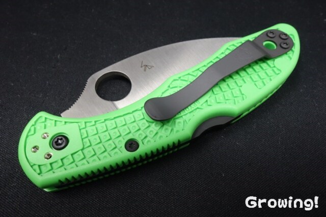 ナイフショップ グローイング！□Spyderco【スパイダルコ