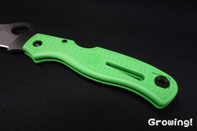 Spyderco - スパイダルコ アドベンチャー ナイフショップ グローイング！□Spyderco【スパイダルコ