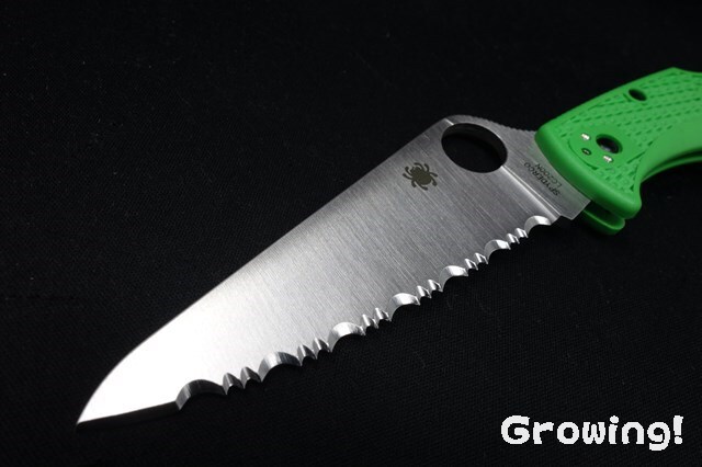 ナイフショップ グローイング！□Spyderco【スパイダルコ  