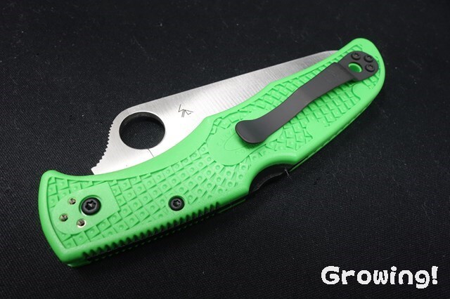 ナイフショップ グローイング！□Spyderco【スパイダルコ  