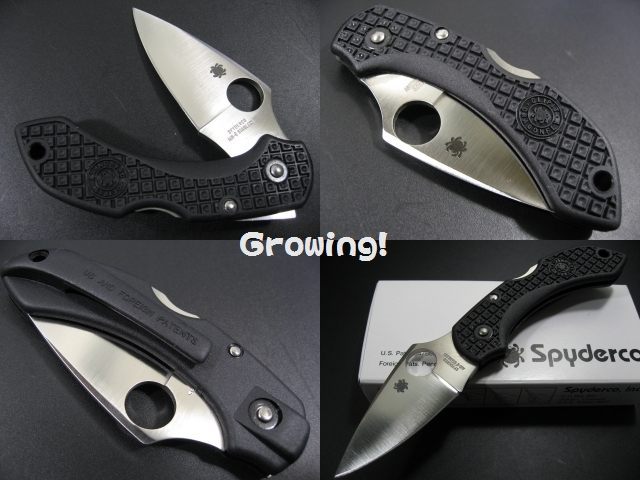 ナイフショップ グローイング！□Spyderco【スパイダルコ】□ ドラゴン