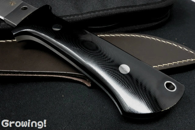 胡弓　破れなし ナイフショップ グローイング！□Spyderco【スパイダルコ