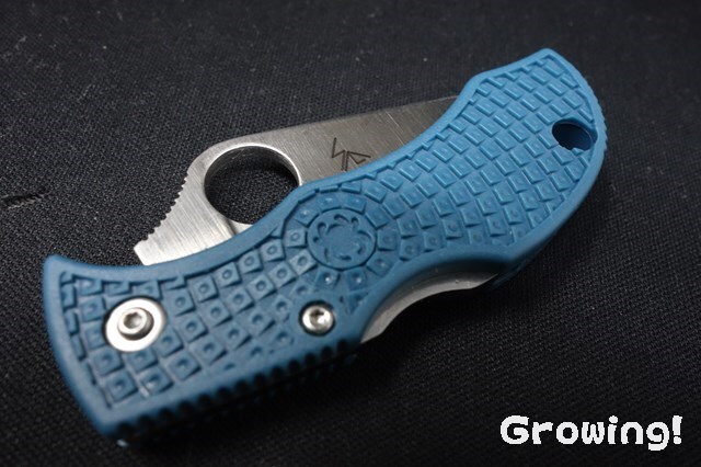 ナイフショップ グローイング！□Spyderco【スパイダルコ