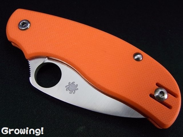 ナイフショップ グローイング！□Spyderco【スパイダルコ】□ アーバン