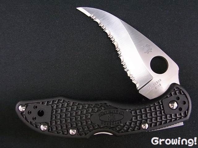 【希少】ELOI エロア コインナイフ シルバー ナイフショップ グローイング！□Spyderco【スパイダルコ