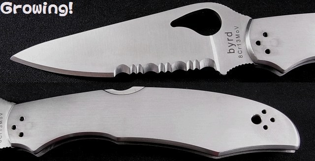 ナイフショップ グローイング！□Spyderco【スパイダルコ】□ byrd