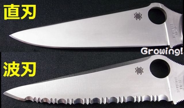 ナイフショップ グローイング！□Spyderco【スパイダルコ】□ ポリス