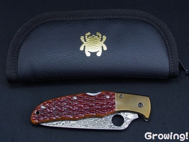 チノ・エンヴィ・SP SHIPS any チノパン any: 「洗濯機可能」センタークリース