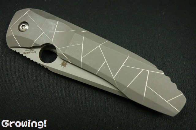 ナイフショップ グローイング！□Spyderco【スパイダルコ