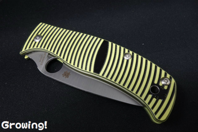 ナイフショップ グローイング！□Spyderco【スパイダルコ  