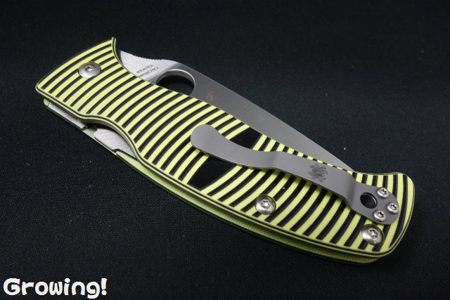 ナイフショップ グローイング！□Spyderco【スパイダルコ  