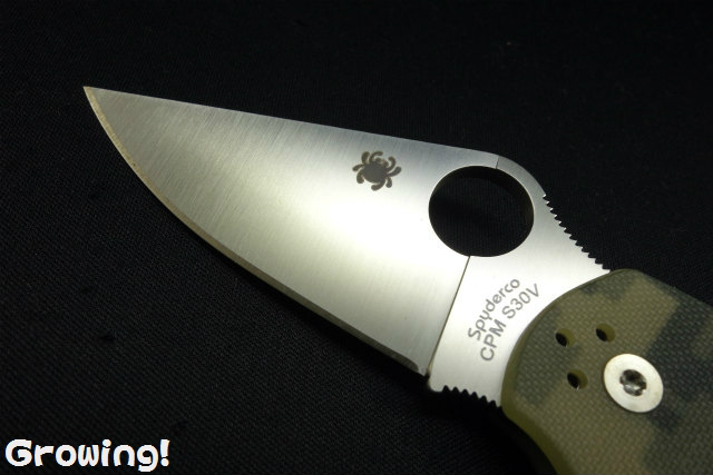 ナイフショップ グローイング！□Spyderco【スパイダルコ】□ パラ3  