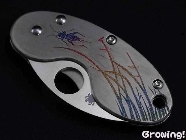 スパイダルコ　クリケット　Spyderco Cricket Amazon.com : Spyderco Cricket Signature Knife with 3.88