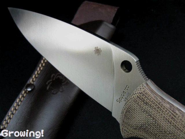 ナイフショップ グローイング！□Spyderco【スパイダルコ