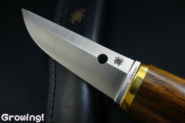 ナイフショップ グローイング！□Spyderco【スパイダルコ