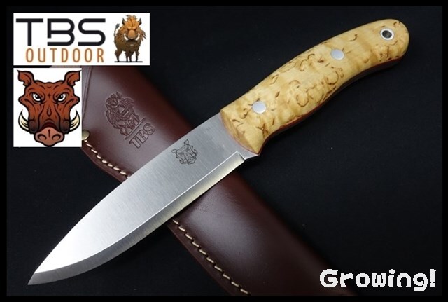 ハイパーナイフ6 専用プローブ BODYプローブ　正規店購入品 Hyper Knife（ハイパーナイフ）6【日本製】の卸・通販 | ビューティ