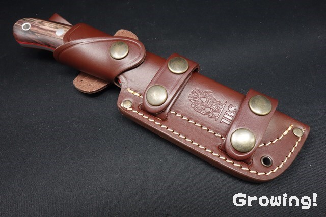 ナイフショップ グローイング！□TBS knives【TBSナイブス】□ ボア