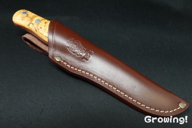 ハイパーナイフ6 専用プローブ　FACEプローブ　ワム正規品 ハイパーナイフ6 専用プローブ BODYプローブ&FACEプローブ ワム正規品