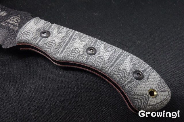 ナイフショップ グローイング！□TOPS【トップス】□ トムブラウン