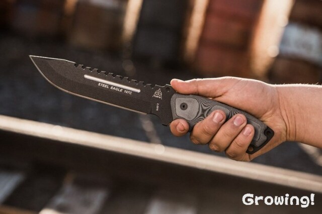 ナイフショップ グローイング！□TOPS【トップス】□ スチールイーグル