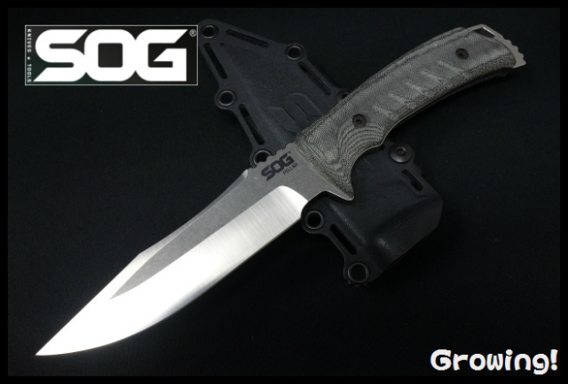 SOG ナイフ 61Xu8rBVCsL._UF350,350_QL80_.jpg
