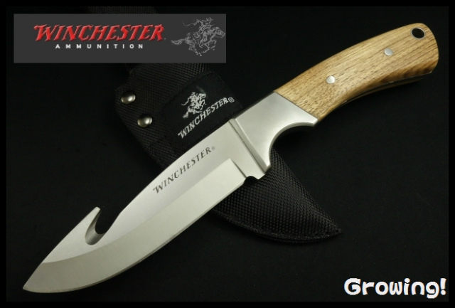 狩猟用knife ≪BUCK119≫≪Winchesterガットフックハンター≫ ※2本セット