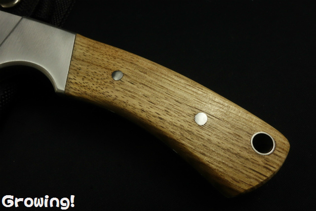 狩猟用knife ≪BUCK119≫≪Winchesterガットフックハンター≫ ※2本セット