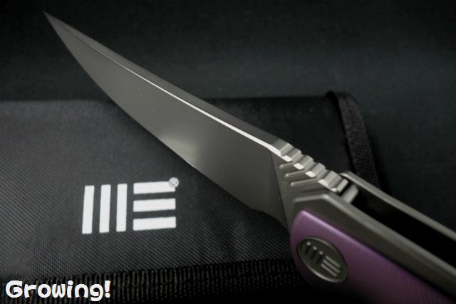 ナイフショップ グローイング！□WeKnife【ウィナイフ】□ 「704A